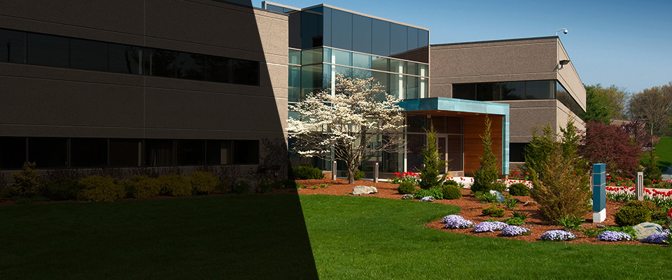 Isle Of Palms Landscapers